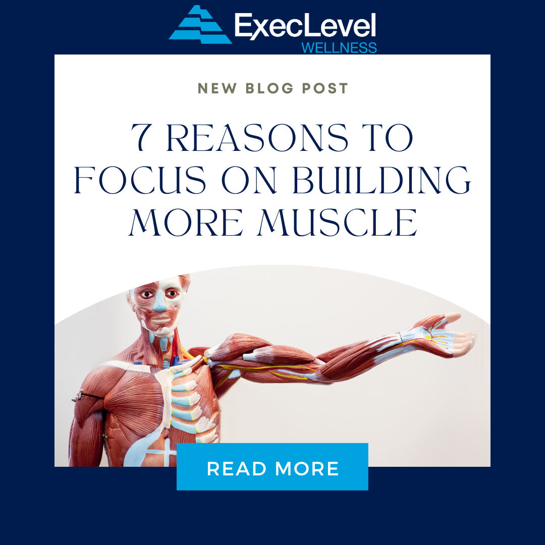 7 Reasons to Focus on Building More Muscle - ExecLevel Wellness